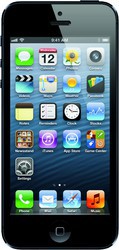 Apple iPhone 5 16GB - Лесной