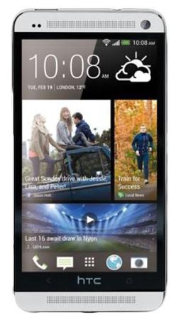 Смартфон HTC One One 32Gb Silver - Лесной