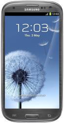 Samsung Galaxy S3 i9300 32GB Titanium Grey - Лесной