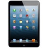 Apple iPad mini 64Gb Wi-Fi черный - Лесной