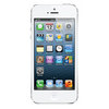 Apple iPhone 5 16Gb white - Лесной