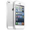 Apple iPhone 5 64Gb white - Лесной